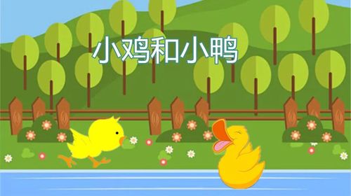 小鸡和小鸭