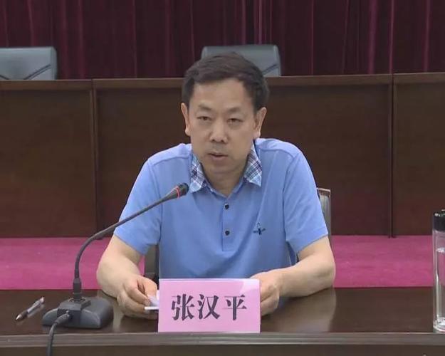 张汉平到应城市调研督导全面从严治党主体责任