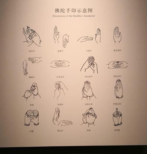 佛陀手印,和瑜伽的手印有很大不同.