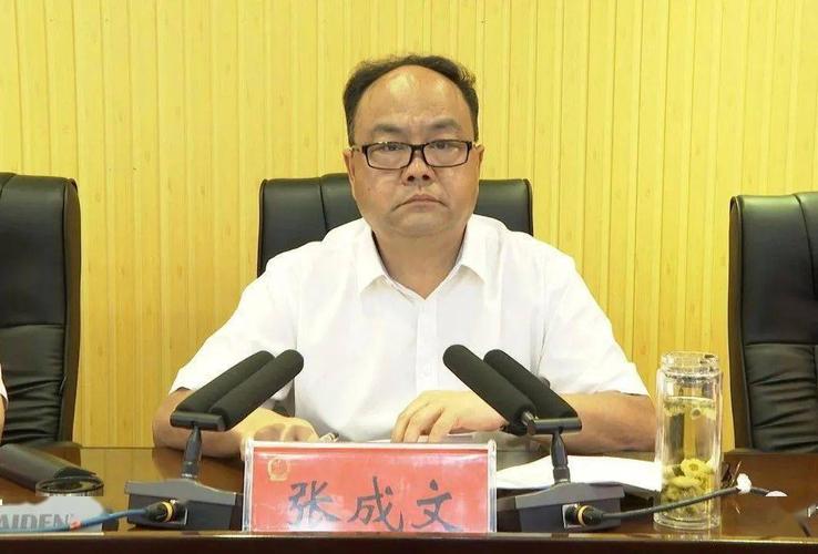 决定任命文晓凡同志为叶县人民政府副县长,代理县长