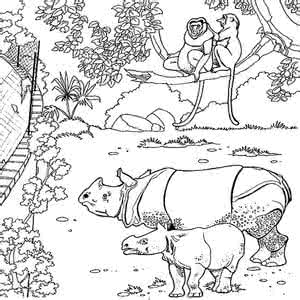 素描动物园简笔画