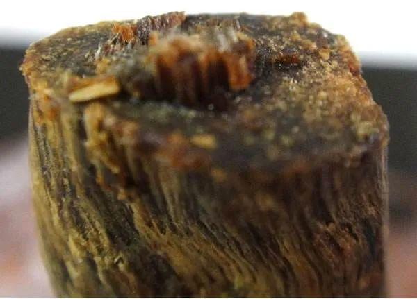 奇楠与沉香价值相差巨大的原因?