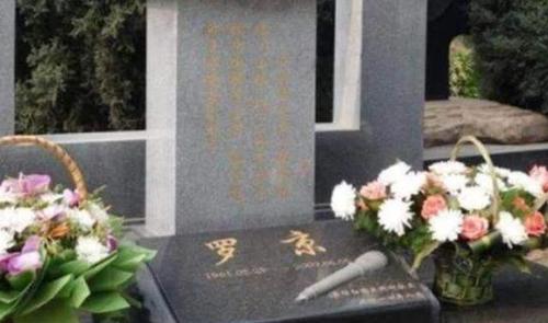 原创"罗京"墓地实景:青松翠柏,鲜花常伴,墓前一处小细节让人动容