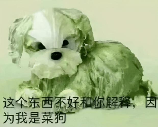 那张菜狗的表情包,除了字是后加上去的以外,其他的就是原图.