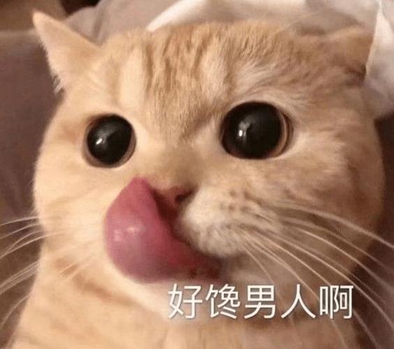 高清无水印nice的表情包