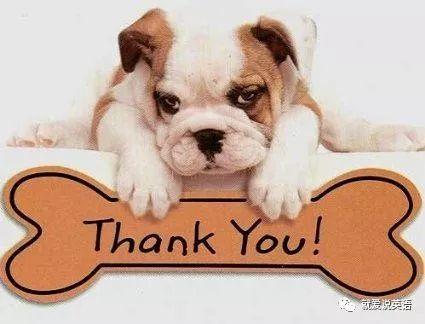 别人对你say thank you,你应该怎么回才最地道呢?