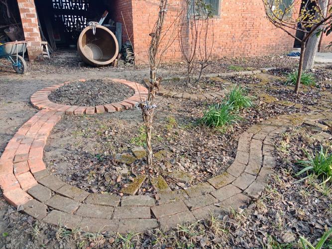 红砖铺小路,玩出细花头.