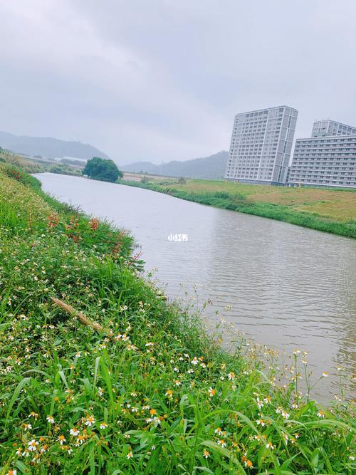 周末与大自然约会97深圳坪山河湿地公园_湿地公园_约会_草坪_休闲