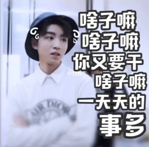 王俊凯沙雕表情包2