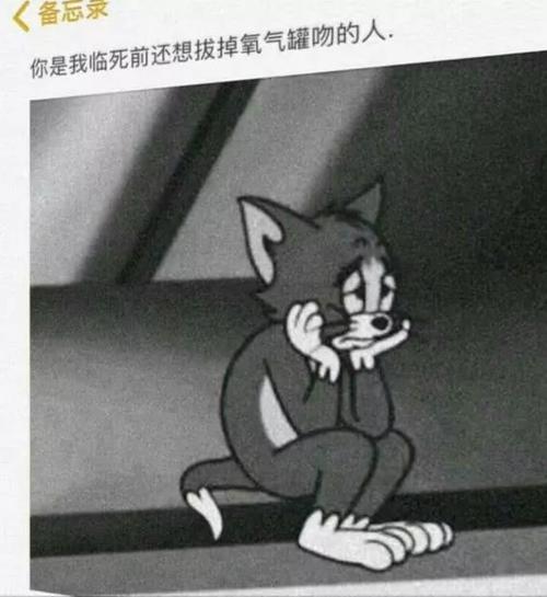 伪装,汤姆猫