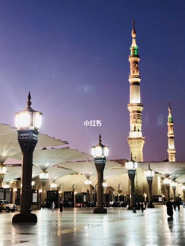 沙特麦地那清真寺_出行_去处