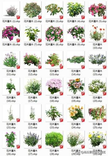 常用园林景观植物模型库(共800个)