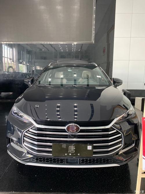 比亚迪汽车唐燃油7座