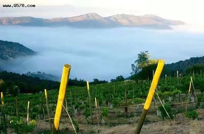 迈坡谷(maipo valley)是距离智利首都圣地亚哥(santiago)最近的葡萄