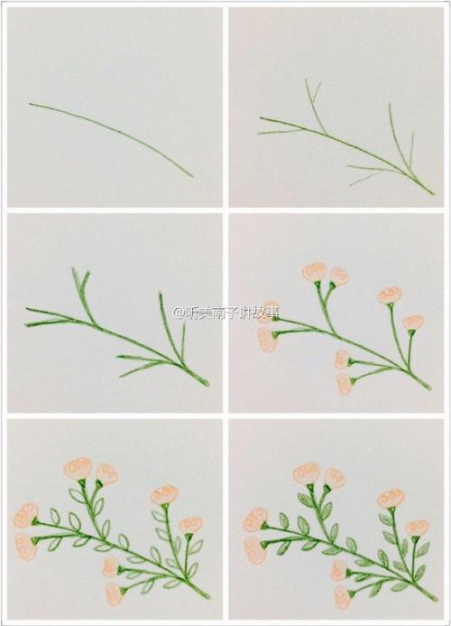 简单彩铅植物简笔画教程 小清新植物简单彩铅画素材图片[ 图片/9p ]
