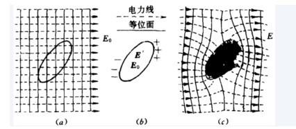 静电感应,静电平衡与静电屏蔽