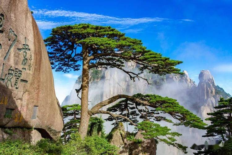 开眼界原来民间有这么多黄山迎客松元素的艺术品