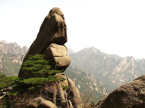 二年级的狮子抢球手抄报 二年级的手抄报