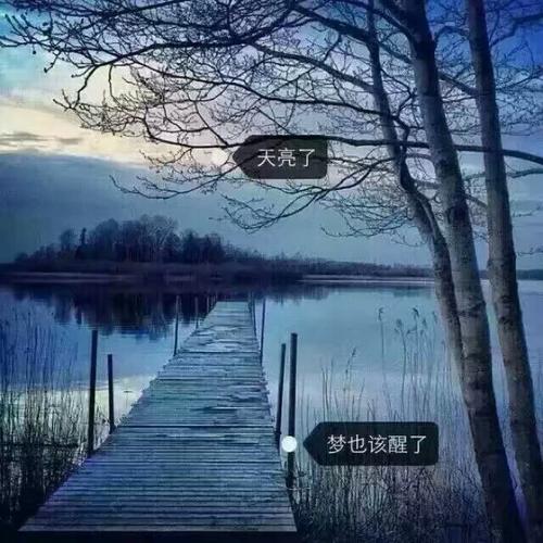天亮了梦也该醒了