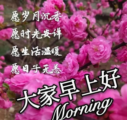 中老年表情包,心中有爱,友谊长存