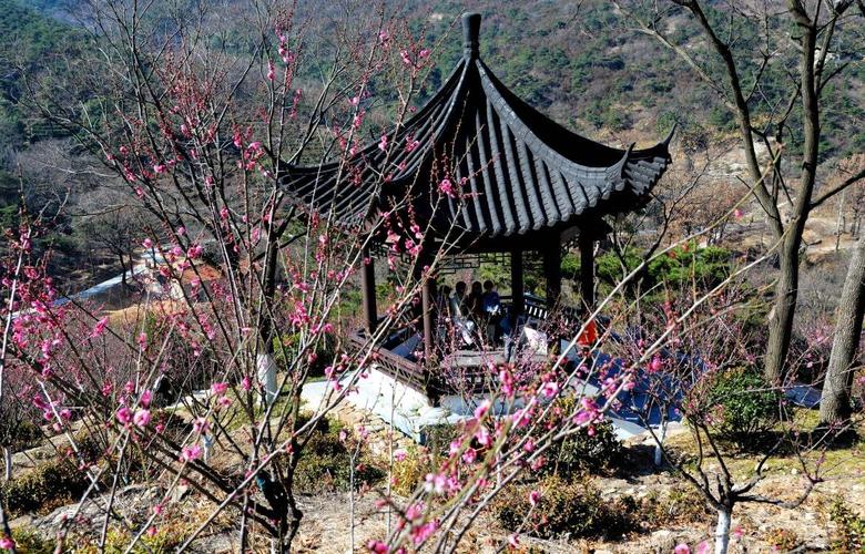 连云港:花果山梅园花开迎客来