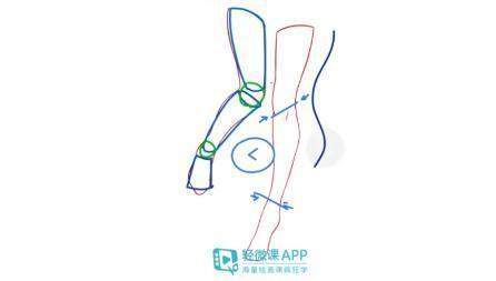动漫人物腿部画法如何学习?腿部绘画教程参考