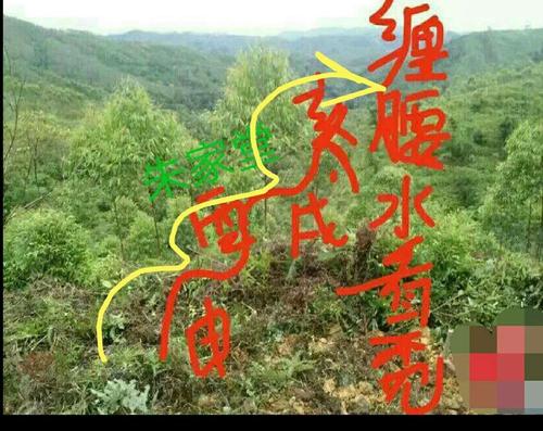 共益交讨分享传播周易风水文化,留传题《飞凤过江》