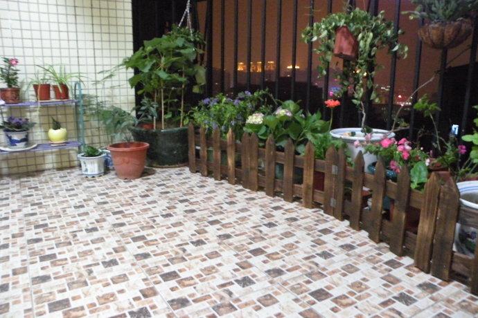 [转载]小院新貌