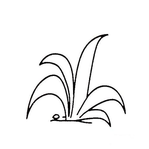 花朵简笔画 青草的画法幼儿学画植物