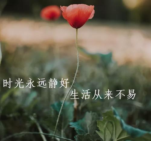 有时候心很烦不是脾气不好而是太累了早安