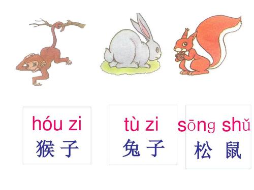 人教版一年级语文上册课文(二)第10课《比尾巴》ppt课件