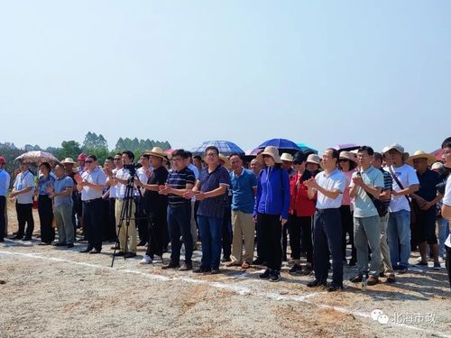 恭喜了合浦乌家镇这个项目正式开工了