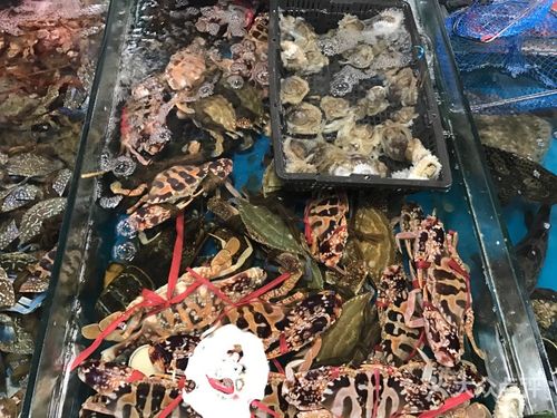 北海港海鲜大世界(厢竹大道店)图片 - 第45张