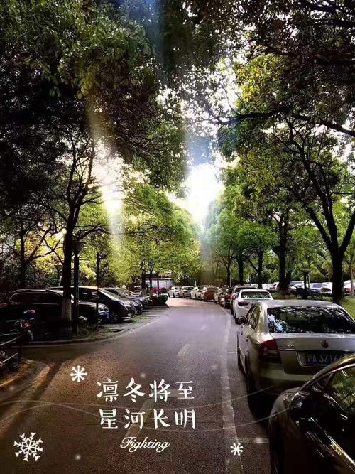 凛冬将至,星河长明