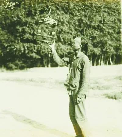 老北京提笼架鸟有多讲究?竟是身份,脾气和品位的象征