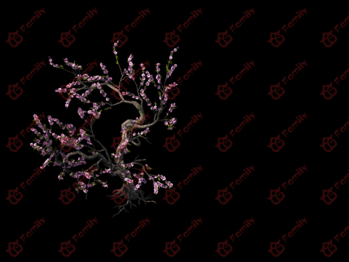 古代写实桃树红树桃花桃花树樱花桃花树桃树樱花樱花树梅花模型材质