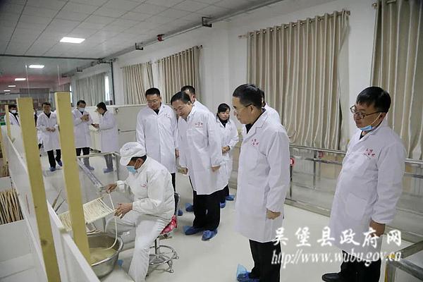 国家能源集团党组成员副总经理冯树臣一行来吴堡调研