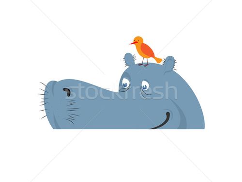 商业照片: 河马 ·水· 河马 ·河· 动物