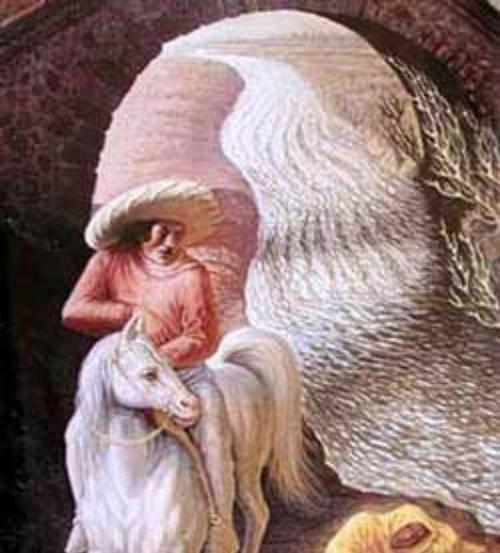 眼力测试,5道题目,能做对3题你是大神!