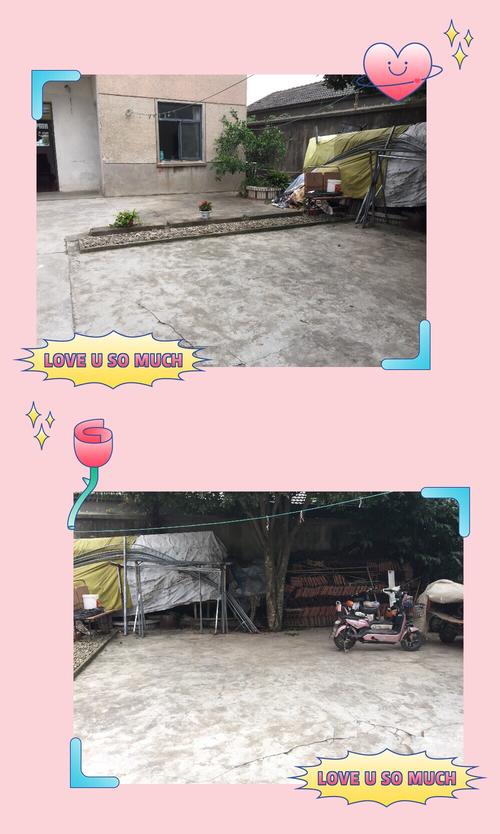 陈昕泽劳动日记