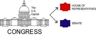 legislative branch