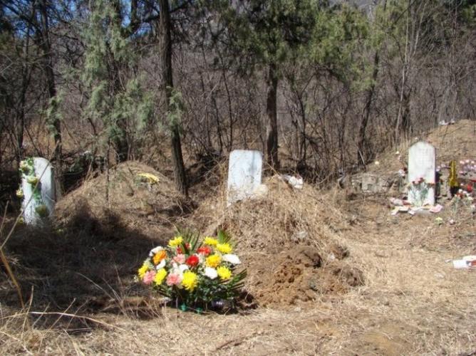 清明节扫墓图片-2017清明扫墓的图片