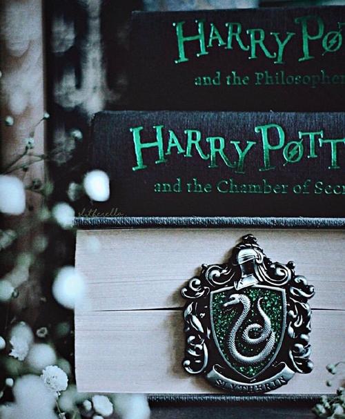 斯莱特林·背景图