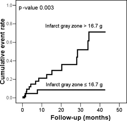 infarct tissue heterogeneity assessed with - mri