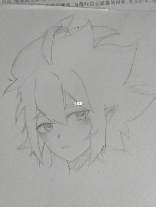 安迷修_绘画_兴趣爱好_绘画