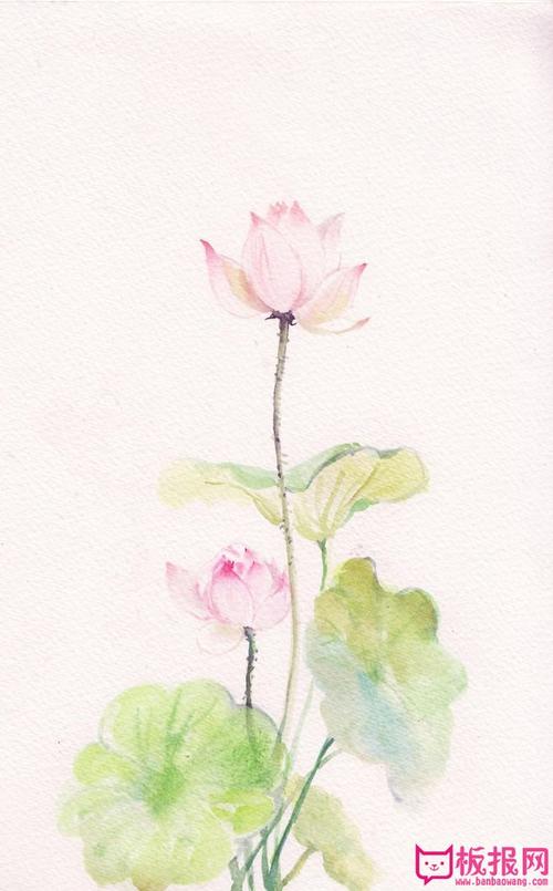 唯美古风水彩画图片,淡雅花卉