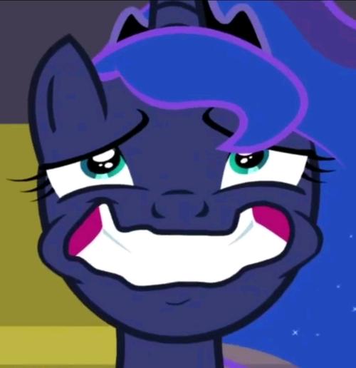 小马表情包第二十五弹公主们