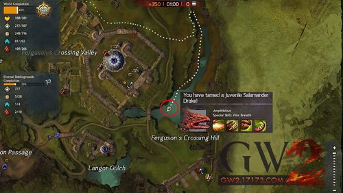 激战2(guildwars2)游侠宠物捕捉专题 - 17173激战2