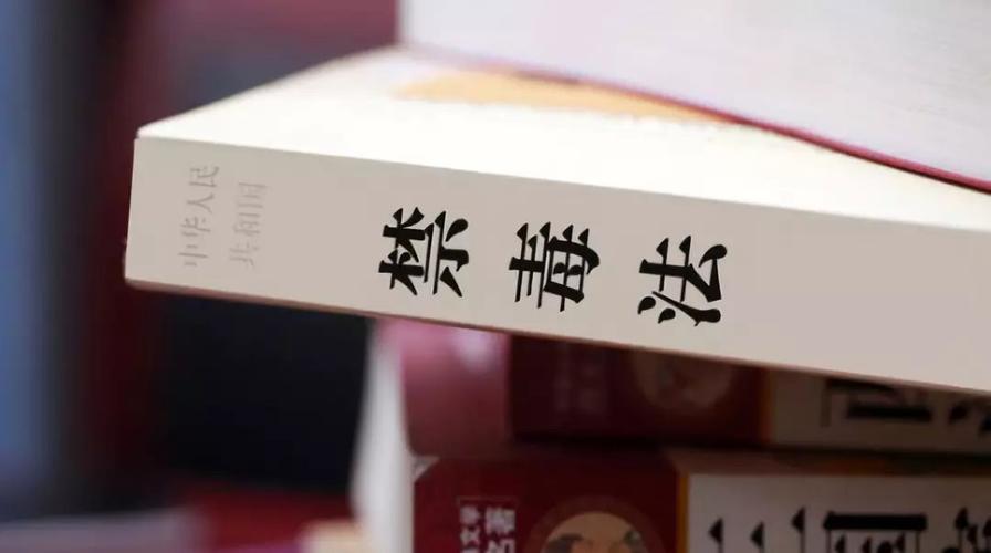 2007年12月,通过的《中华人民共和国禁毒法》明确规定