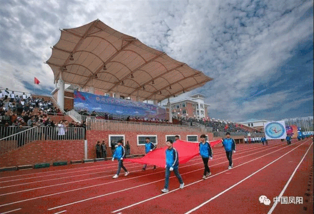这么多学生录取985211大学凤阳中学进步很大